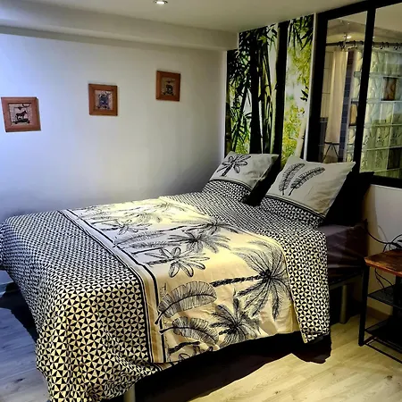 Cosy Meublee Rer D 200m *